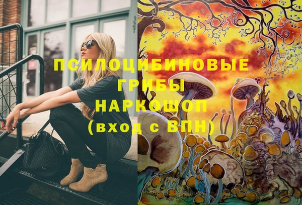 ПСИЛОЦИБИНОВЫЕ ГРИБЫ Аркадак