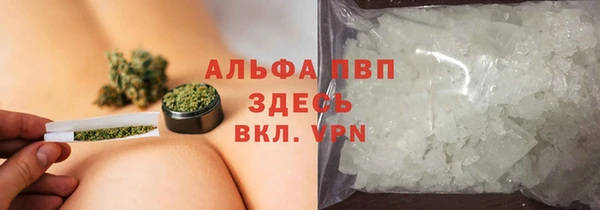 ПСИЛОЦИБИНОВЫЕ ГРИБЫ Аркадак