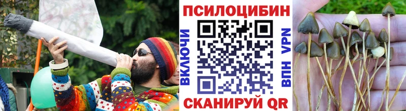 Галлюциногенные грибы MAGIC MUSHROOMS  Купить закладки  Стрежевой 